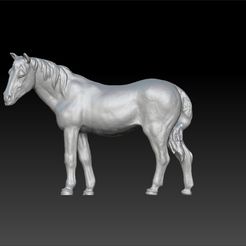 ho1.jpg Horse - realistic horse - scan horse