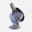 T08.png Tartaruga