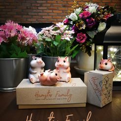 Ham02.jpg Free STL file Hamster Family・Template to download and 3D print