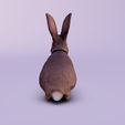 e2e5068b-e04a-481b-bf30-909610b8f632.jpg rabbit rabbit
