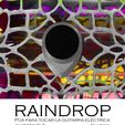 RAINDROP plateblackR9 21x31 imagen.JPG RAINDROP R9 21x31 PUA NIDO (ELECTRIC GUITAR)