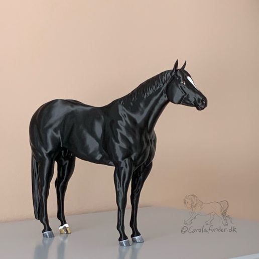 Dusty Bullfinch - Show Pose Halter Quarter Horse