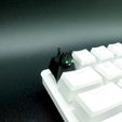 DSC00314.jpg Kitty Keycap (Mechanical Keyboard)