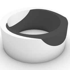 Render1.jpg Free STL file A pair of rings that merge into one・3D print design to download