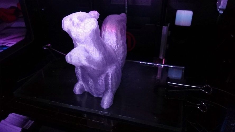 Archivo STL gratis Squirrel Scan・Diseño de impresora 3D para descargar ...