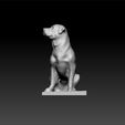 mesh2.jpg Dog - decorative dog - cute dog - decoration dog