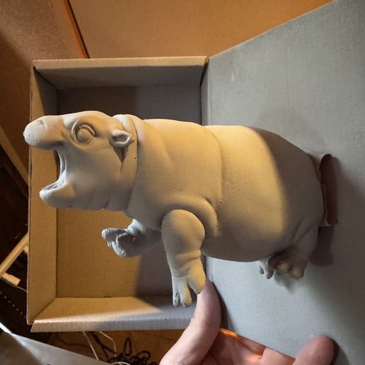 IMG_1354.jpg Moo Deng Chestburster