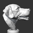 09.png Labrador Retrieve Head AM26 3D print model