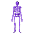 SKELETONHUMAN.stl Human Skeleton