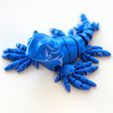 3.jpg Blue Dragon / Glaucus Atlanticus ("The real life pokemon")