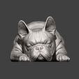 French-Bulldog7.jpg French Bulldog 3D print model