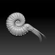 an1.jpg ammonoid acanthoscaphites - sea animals - unity3d - ue5