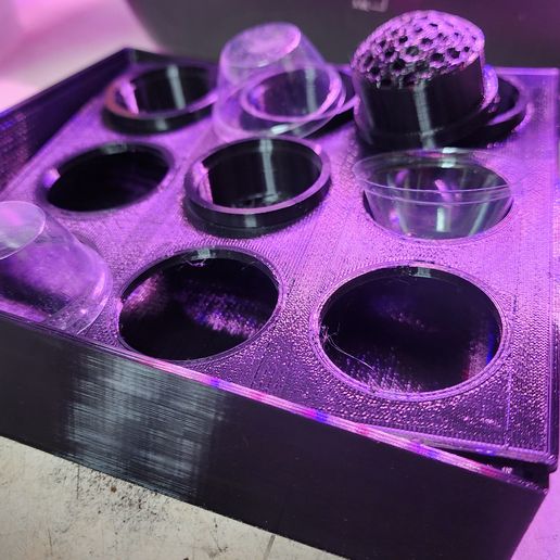 1000010741.jpg Récipient de démarrage des semences