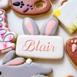 d0d52d4c-981f-40ca-9513-351538378f19.jpg 4 sizes - Bunny Rabbit Ear Easter Plaque Name Cookie Cutter - SHARP cutting edges - So Versatile!