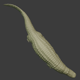 puruusaurus_3.png Modelo prehistórico Purussaurus a escala 1/60