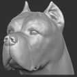 15.jpg Cane Corso dog head for 3D printing