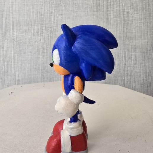 20251112_110245.jpg Sonic