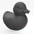 rubber-duck_BODY-v1c.png Многоцветный игривый резиновый утенок