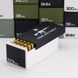 223-REM-1.jpg BBOX Ammo box 223 REM ammunition storage 10/20/25/50 rounds ammo crate 223rem