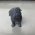 127D0DA3-19CE-4135-B484-A3F1E3CB1C46.jpeg Pregunta Pug Modelo de impresión en 3D