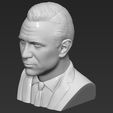 14.jpg James Bond Daniel Craig bust 3D printing ready stl obj