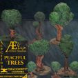 resize-13.jpg AEPCEF03 - Peaceful Trees