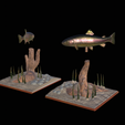 pstruh-podstavec-2-1-20.png two rainbow trout scenery in underwather for 3d print detailed texture