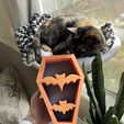 IMG_8722.jpg Bat Coffin Mini Shelf