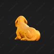 932-Basset_Fauve_de_Bretagne_Pose_09.jpg Basset Fauve de Bretagne Dog 3D Print Model Pose 09