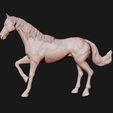 02.jpg American Quarter Horse model 3D print model