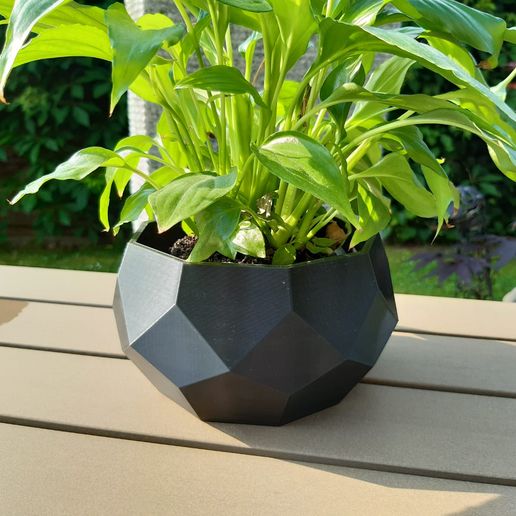 Flowerpot.jpeg Pot de fleurs Low Poly