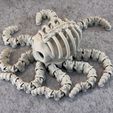 IMG_7984.jpg Articulated Skeleton Octopus