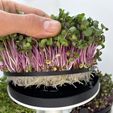 IMG_5598.jpeg Modular Microgreens Tower - Nature-Inspired 3D-Printed Vertical Growing System