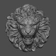 25.jpg Lion Head
