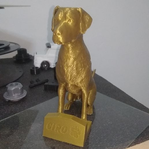 IMG_20211025_161511.jpg Labrador