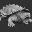 4.jpg Alligator Snapping Turtle