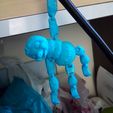 Cute Flexi Print-in-Place Sloth