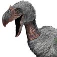 12.jpg BIRD OF PREY TERROR HORROR DEMON DEVIL RAPTOR DINOSAUR WINGS FLYING PREHISTORIC CHARIZARD TERROR BIRD ANIMATED - BLENDER - 3DS MAX - CINEMA 4D - FBX - MAYA - UNITY - UNRE / EVIL / MONSTER Dinosaur