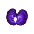 STL_Lungs.stl 3D Model of Heart in Thorax