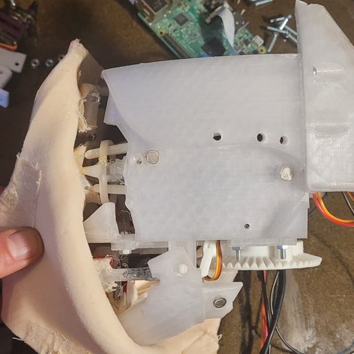 20240204_113224.jpg Sylvie Project: Full animatronic skull