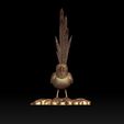 32432423.jpg colibri humming bird