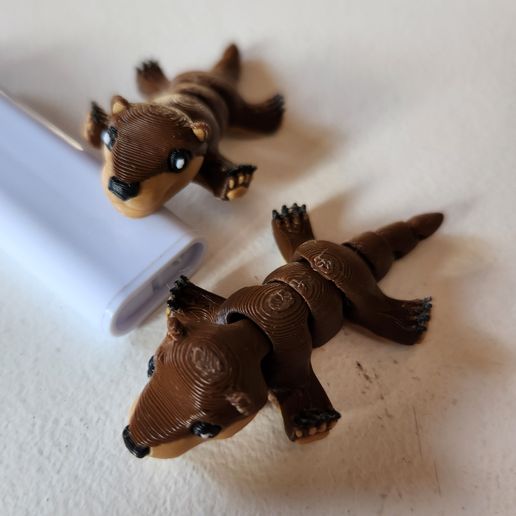 20250112_111839.jpg Winziger Otter