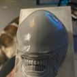 IMG_20240410_100455.jpg Alien Head Xenomorph