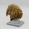 parrot-bust-render-3.png Parrot Head sculpture