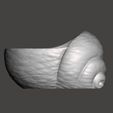 001.jpg Shell Planter