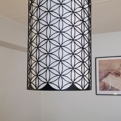 20240826_151836.jpg Flower of life 3. lampshade