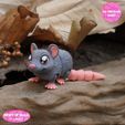 c.jpg PRINT IN PLACE CUTE FLEXI RAT