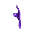 Cervical_Rib01_Right.stl Stegosaurus skull