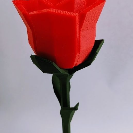 IMG_20170328_145739.jpg Low-Poly-Rose