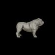 29.jpg Bulldog model 3D print model